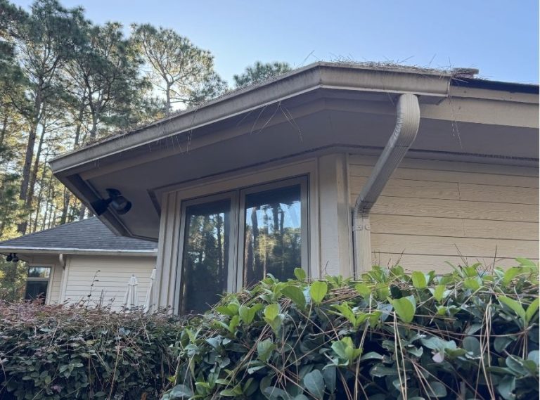 What Are the Dark Streaks on the Outside of My Gutters?