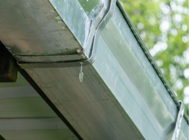 Why Are My Gutters Overflowing When It’s Not Even Raining That Hard? (Lowcountry & Coastal GA Edition)